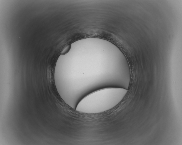 X0000112901058200908211046