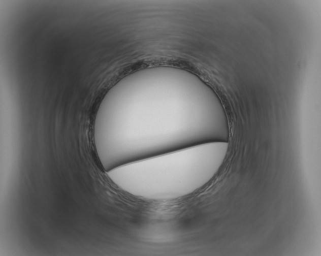 X0000112901059200908211046
