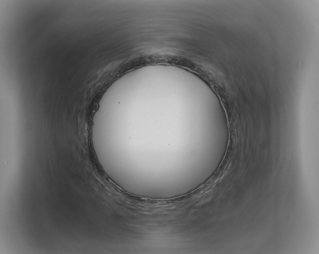 X0000112901061200908211046