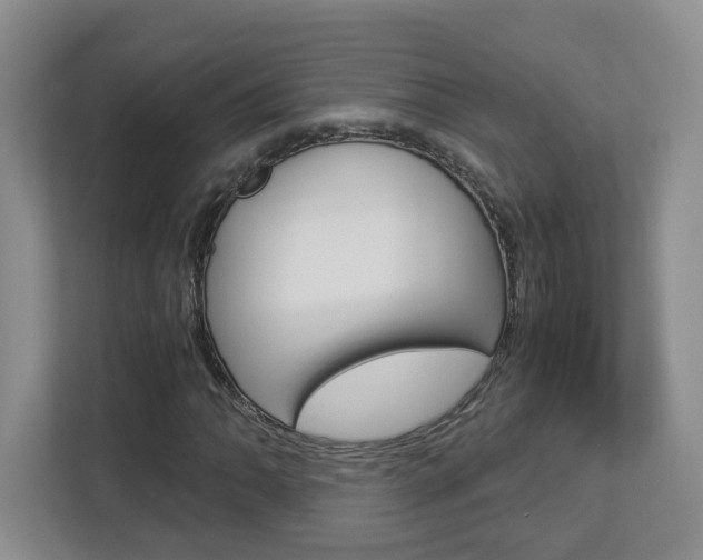 X0000112901062200908211046