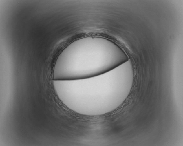 X0000112901063200908211046