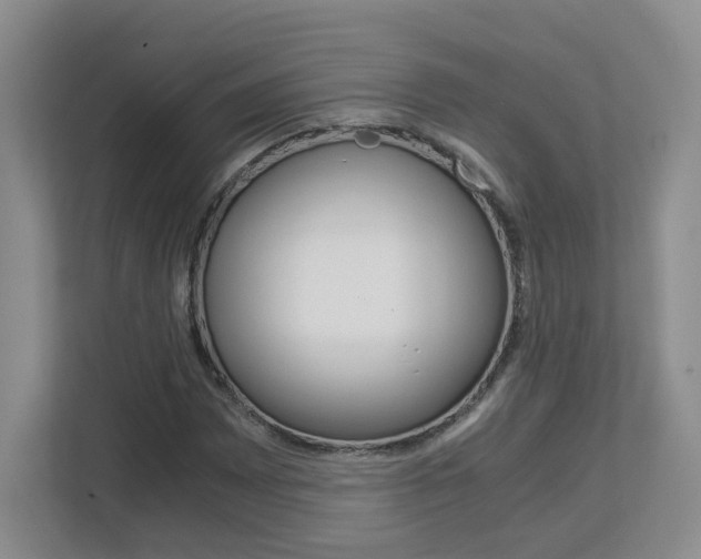 X0000112901065200908211046