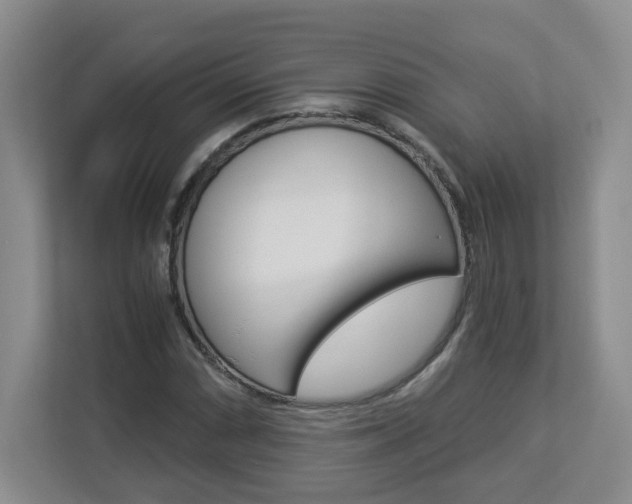 X0000112901066200908211046