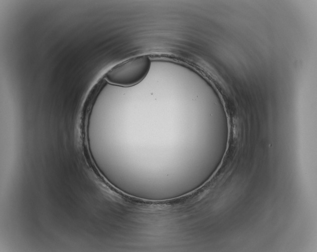 X0000112901068200908211046