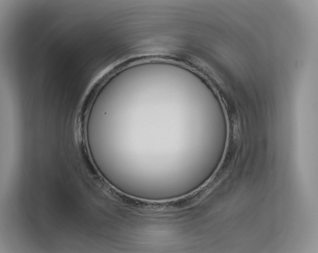 X0000112901069200908211046