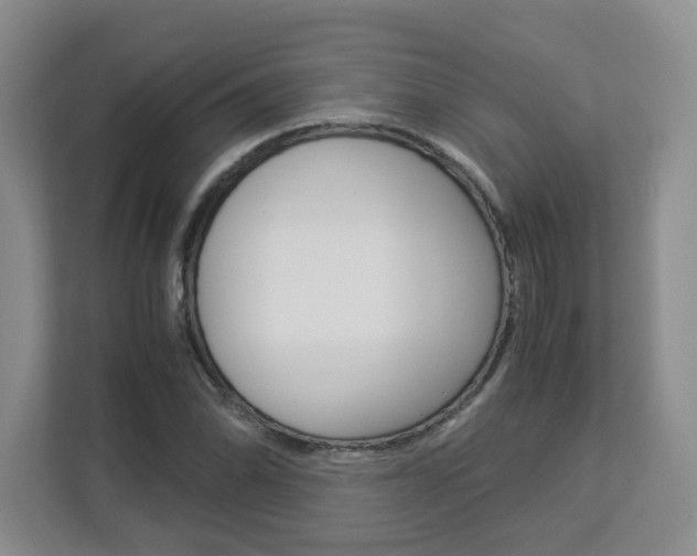 X0000112901070200908211046