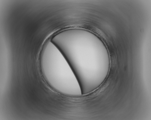 X0000112901071200908211045