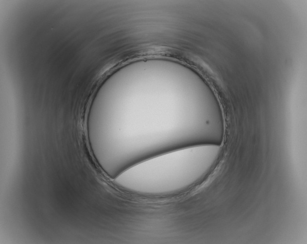 X0000112901073200908211045