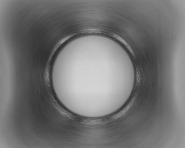 X0000112901074200908211045