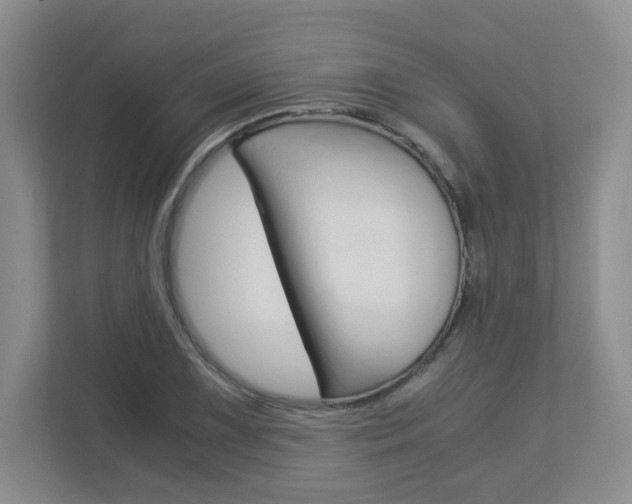 X0000112901075200908211045