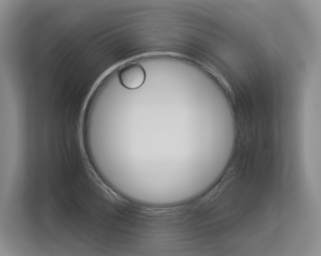 X0000112901076200908211045