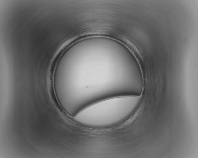 X0000112901077200908211045