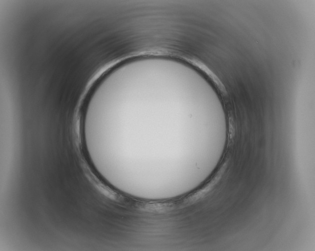 X0000112901078200908211045
