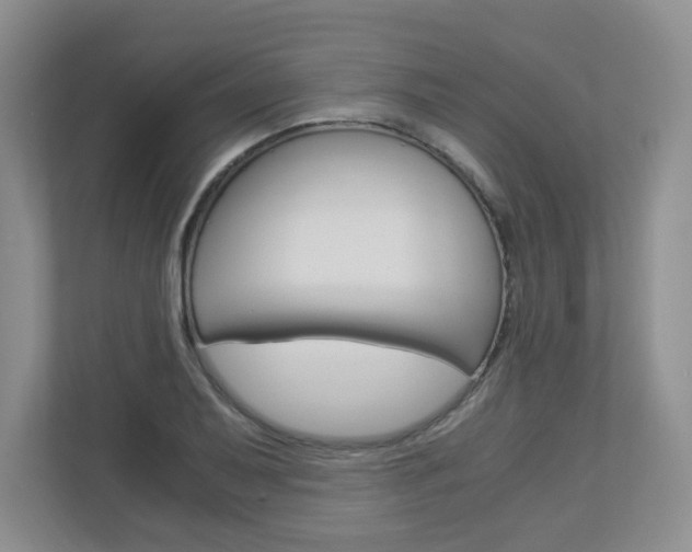 X0000112901079200908211045