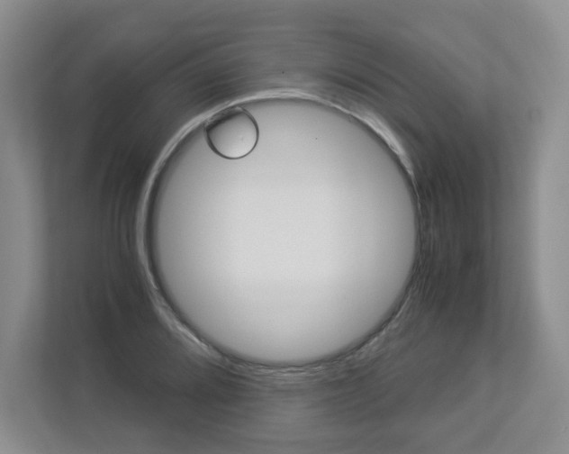 X0000112901080200908211045