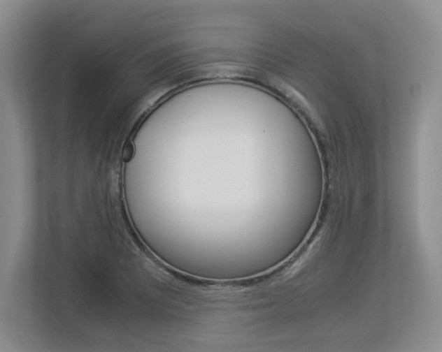 X0000112901081200908211045