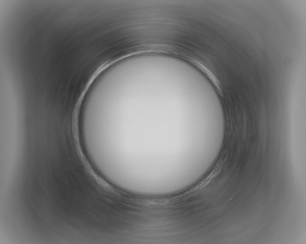 X0000112901083200908211045