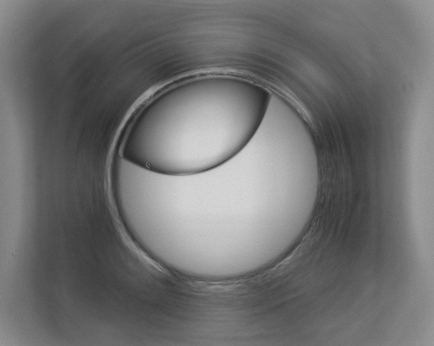 X0000112901084200908211045