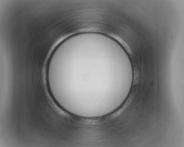 X0000112901086200908211045