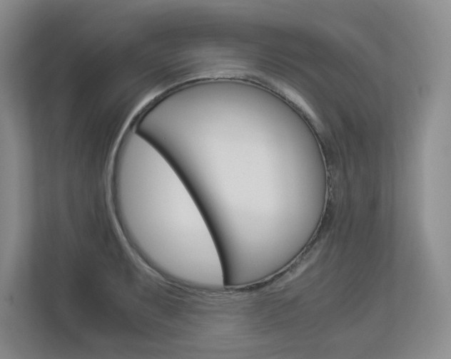 X0000112901087200908211045