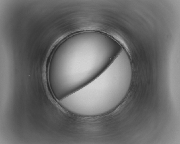 X0000112901088200908211045