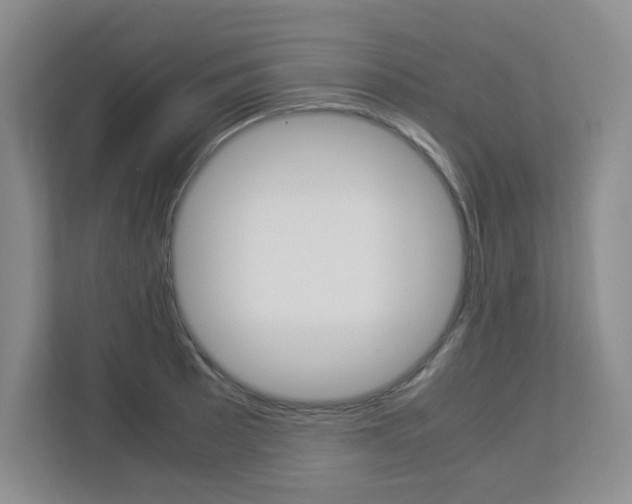 X0000112901089200908211045