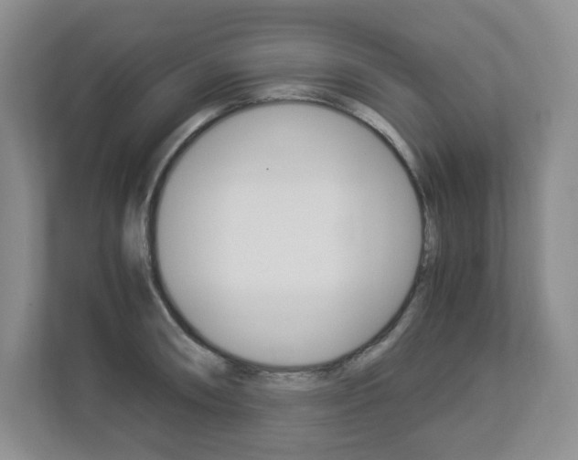 X0000112901090200908211045