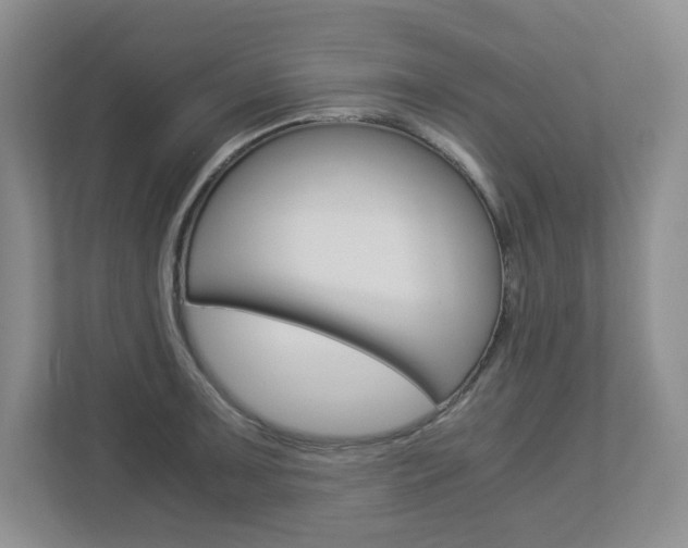 X0000112901091200908211045
