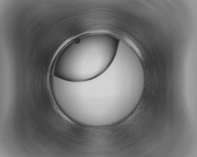 X0000112901092200908211045