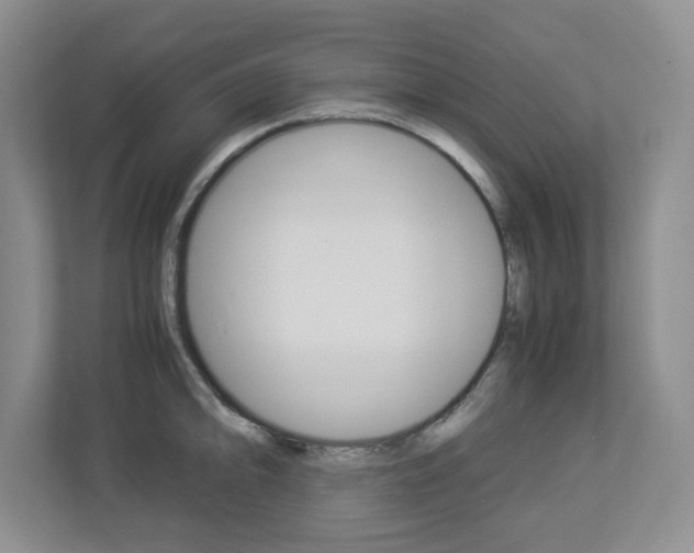 X0000112901094200908211045