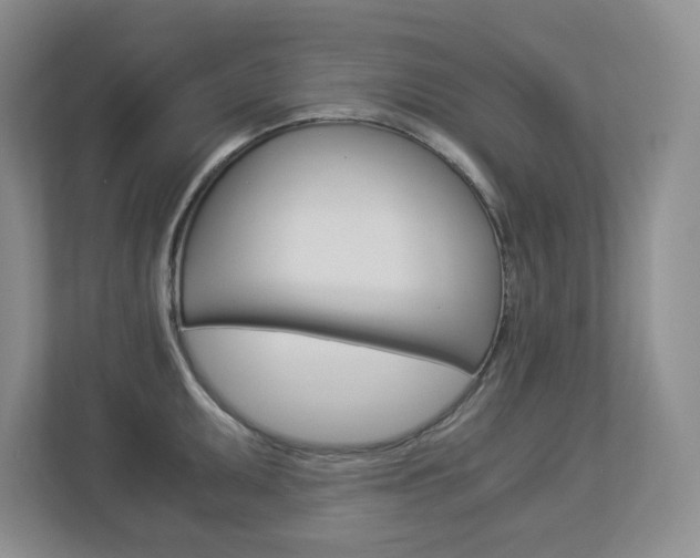 X0000112901095200908211045