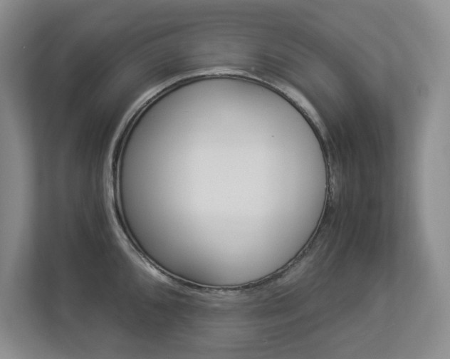 X0000112901096200908211045