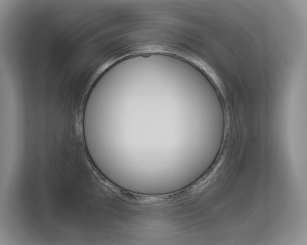 X0000112901097200908211045