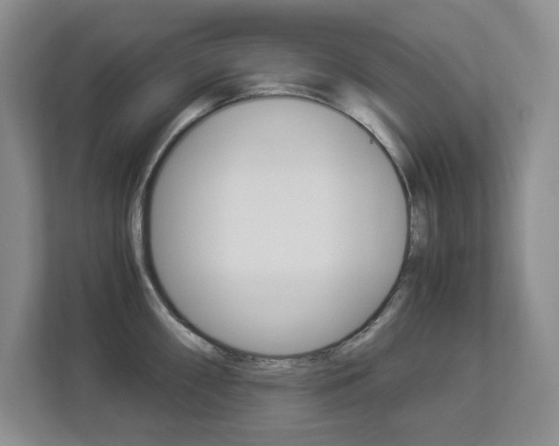 X0000112901098200908211045
