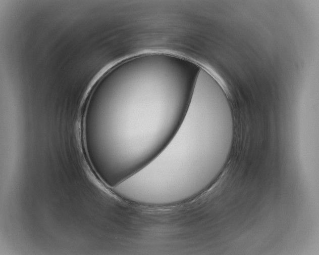 X0000112901100200908211045