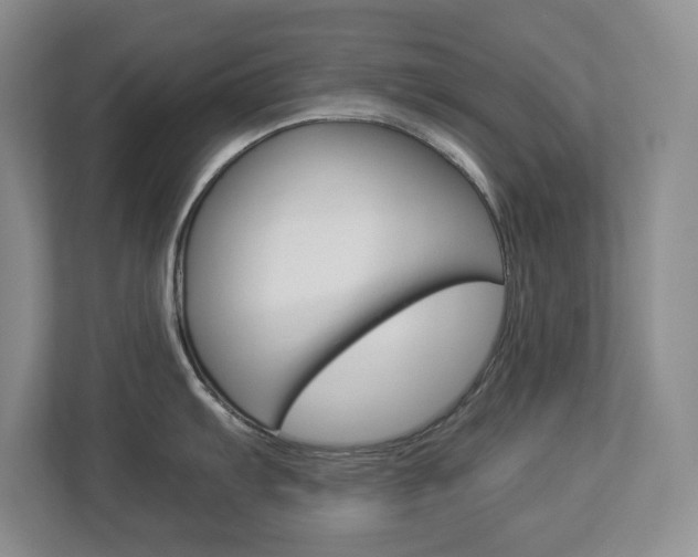 X0000112901103200908211045