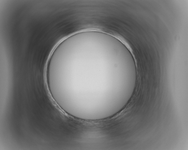 X0000112901104200908211045
