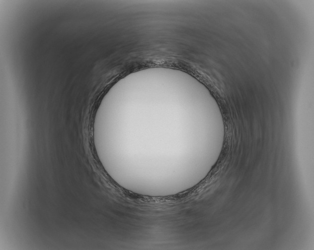 X0000112901105200908211044