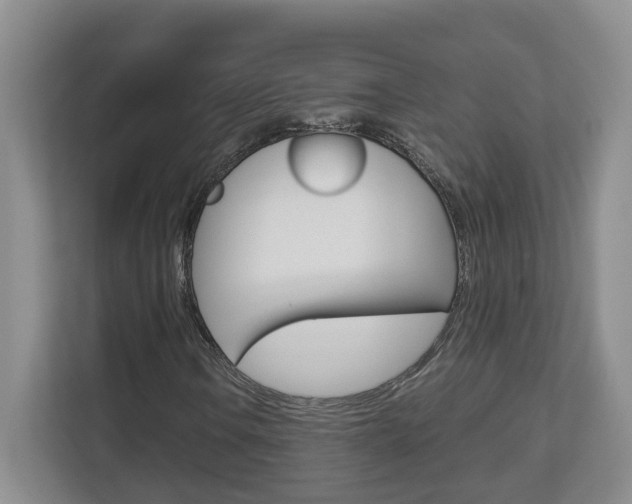 X0000112901106200908211044