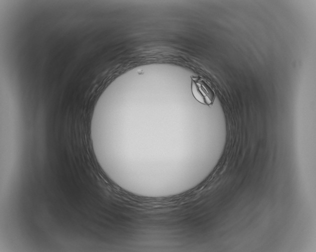X0000112901108200908211044