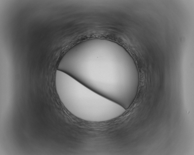 X0000112901109200908211044