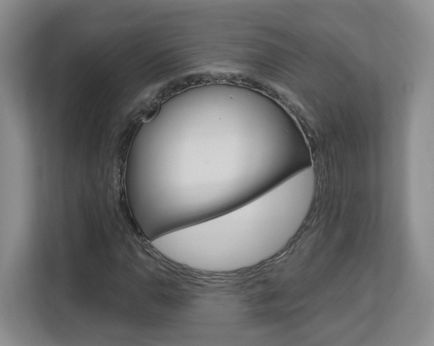 X0000112901110200908211045