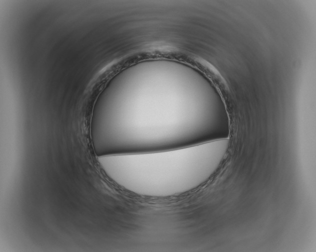 X0000112901112200908211045