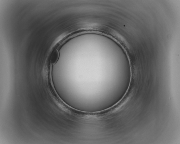 X0000112901114200908211045