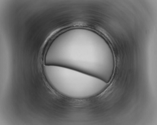 X0000112901115200908211045