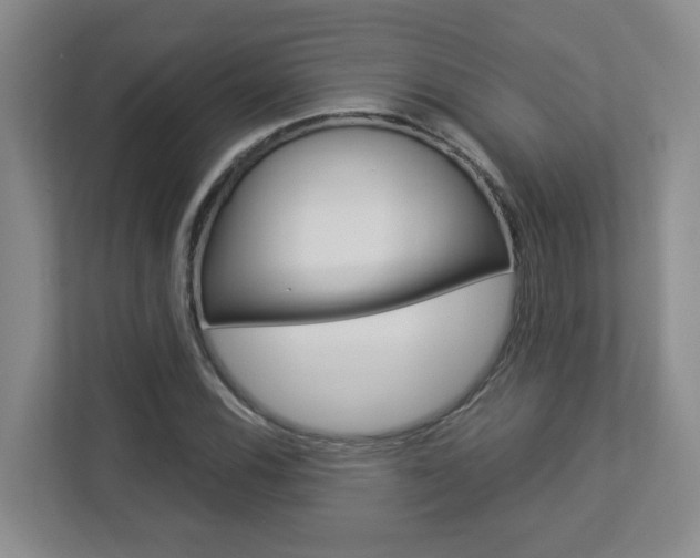 X0000112901116200908211045