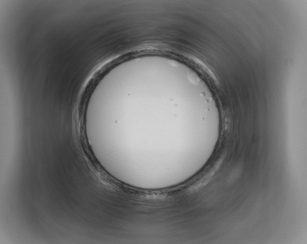 X0000112901117200908211045
