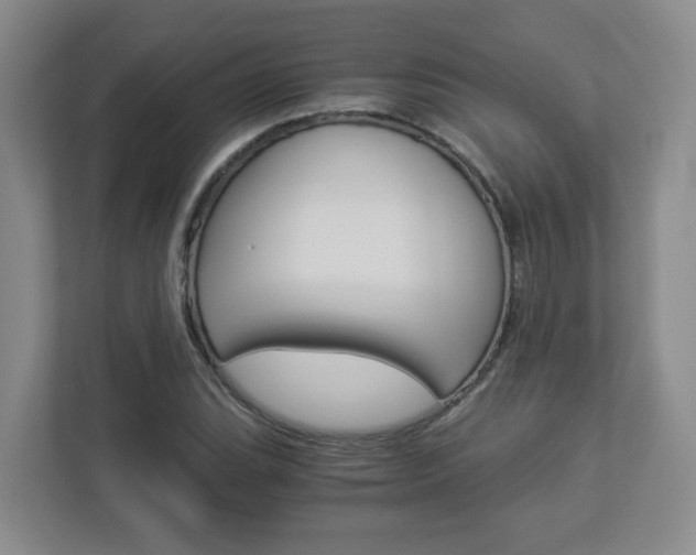 X0000112901119200908211045