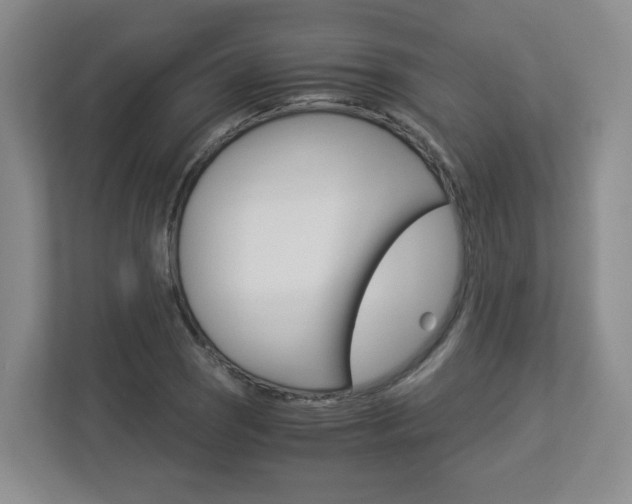 X0000112901121200908211045