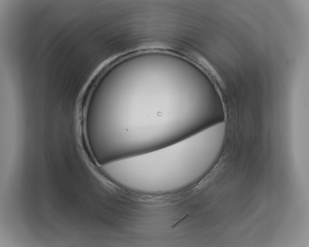 X0000112901124200908211045